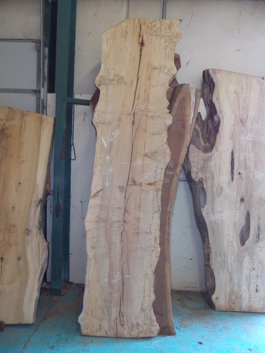 SPALTED MAPLE SLAB MW-003