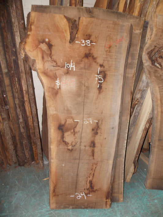 BLACK WALNUT SLAB GW-006