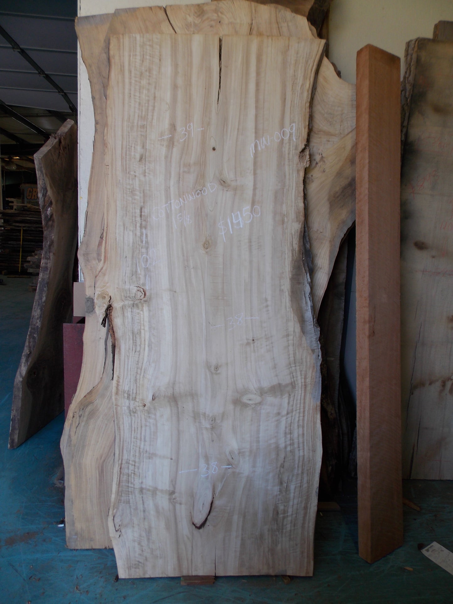 CURLY COTTONWOOD SLAB MW-009