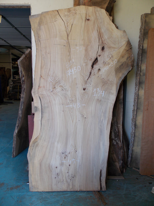 ELM SLAB MW-010