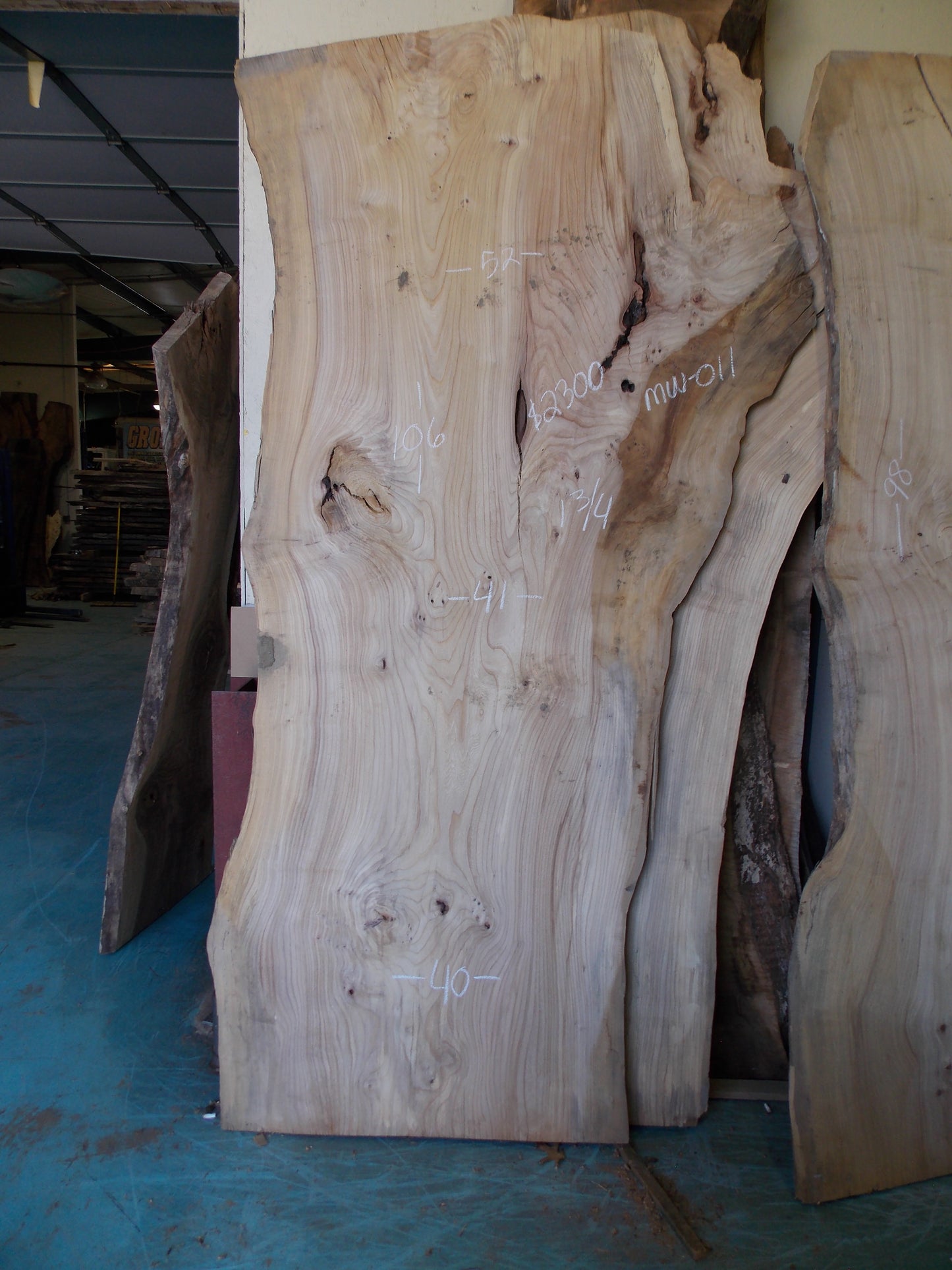 ELM SLAB MW -011