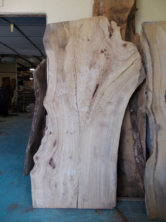 ELM SLAB MW-012