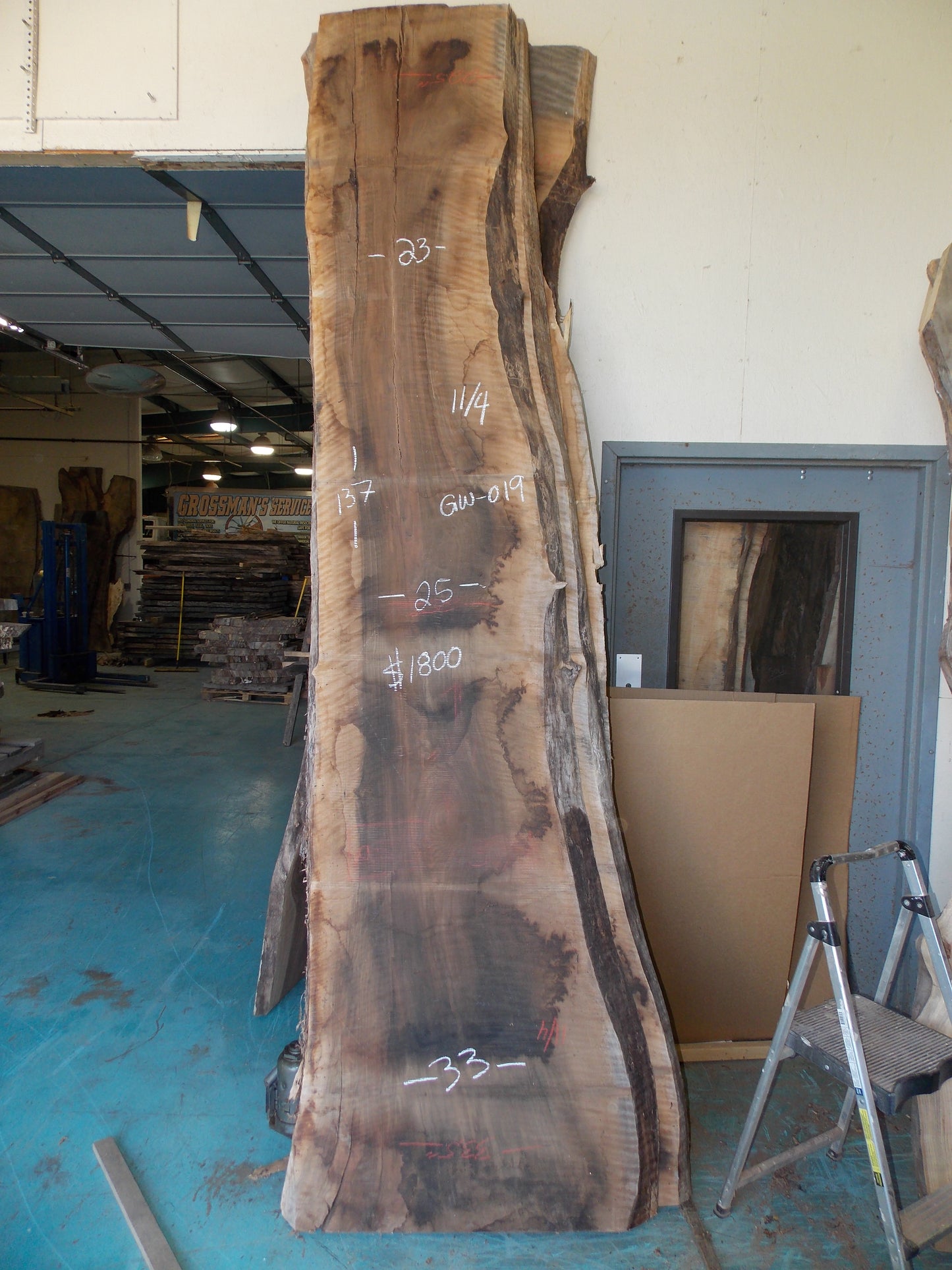 CURLY ENGLISH WALNUT SLAB GW-019