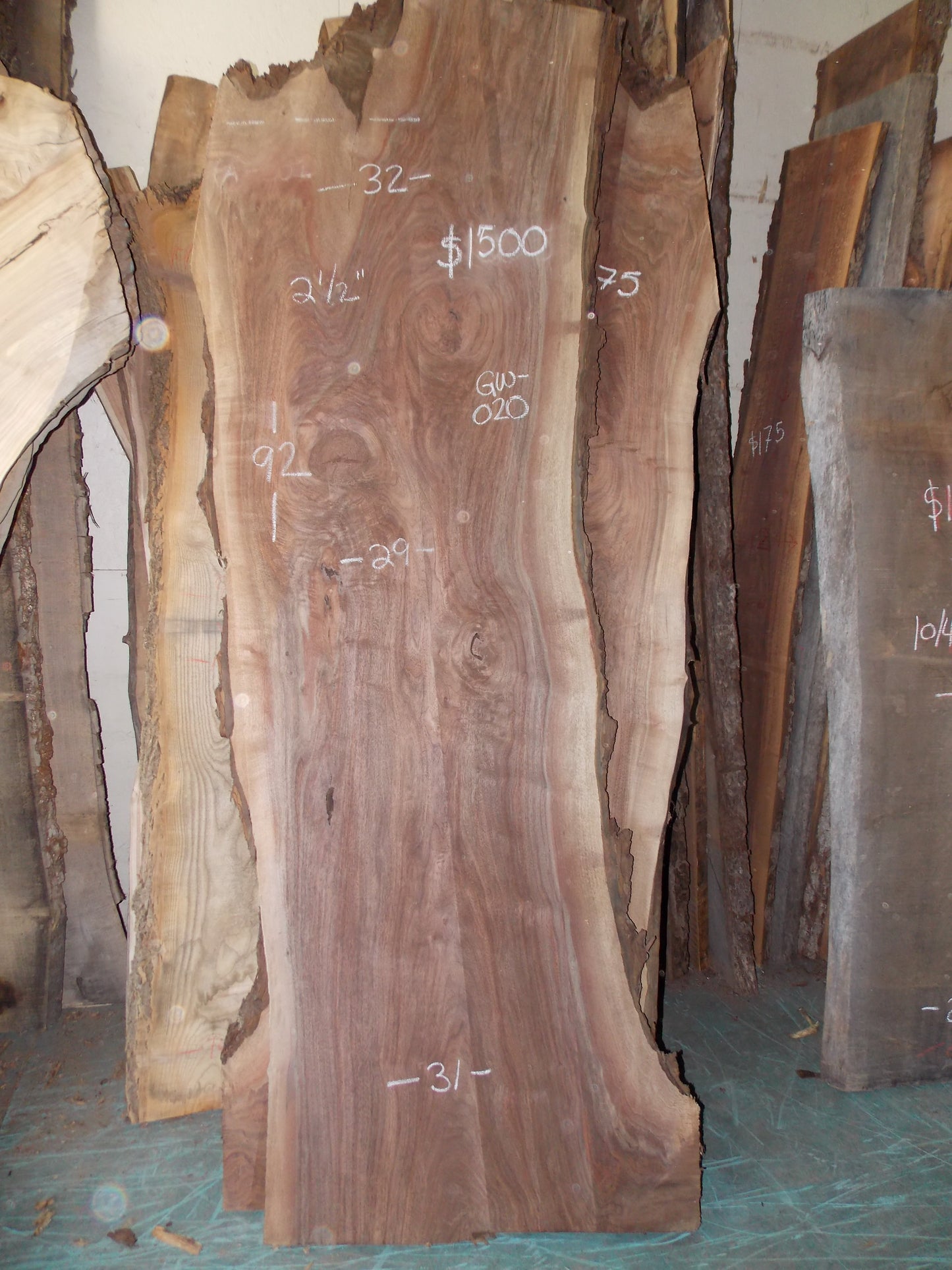 BLACK WALNUT SLAB GW-020