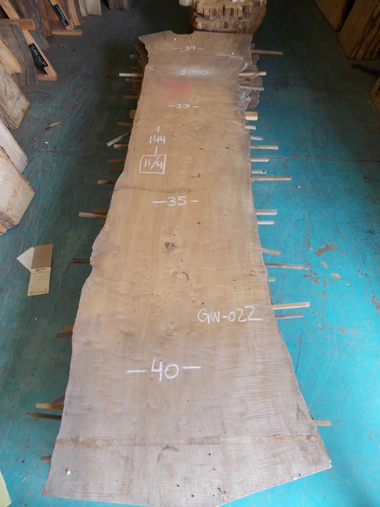 CURLY MAPLE SLAB GW-022