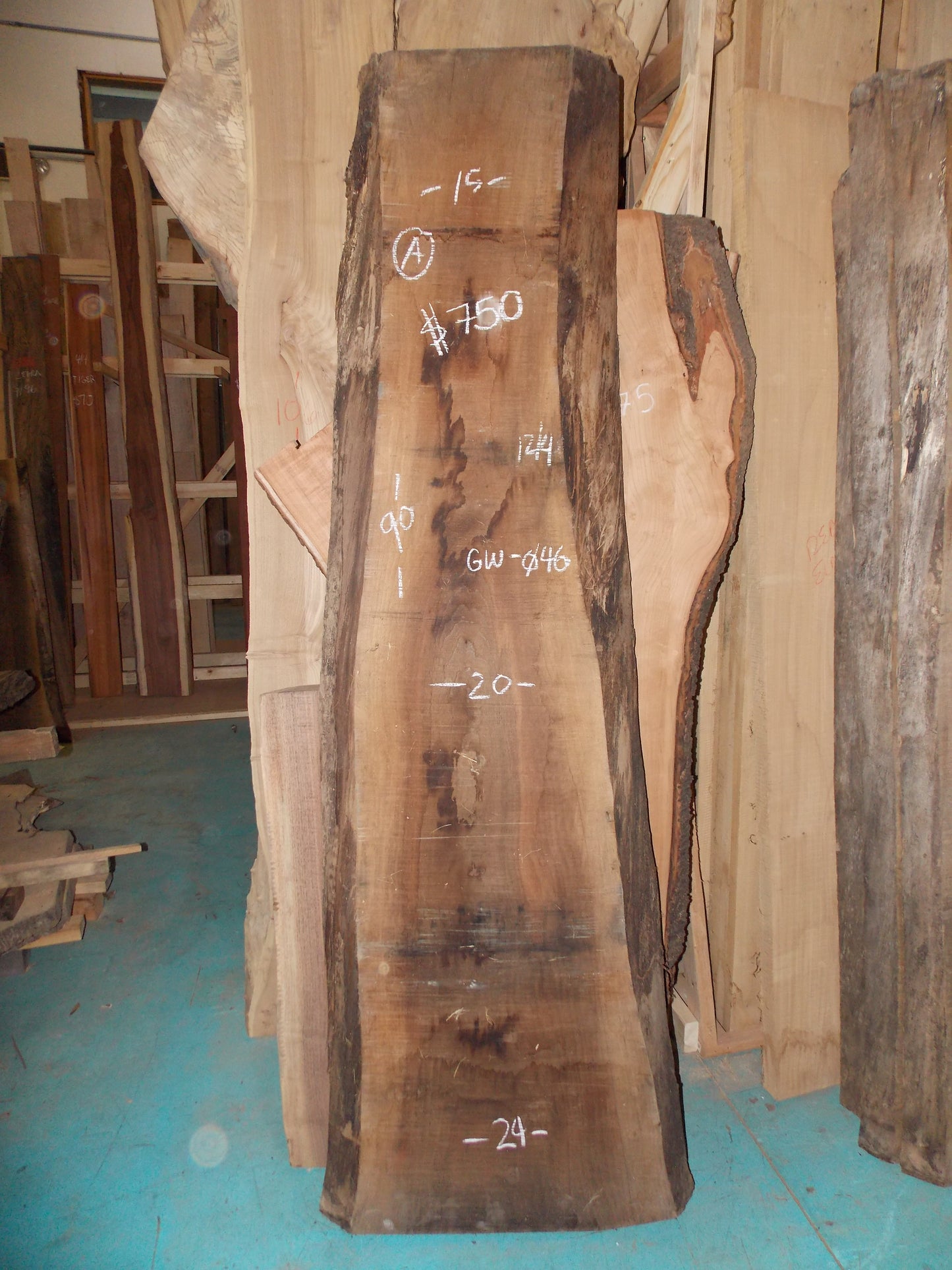 BLACK WALNUT SLAB GW-046