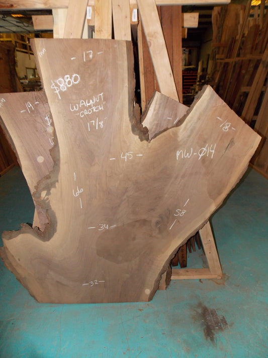 BLACK WALNUT CROTCH SLAB MW-014