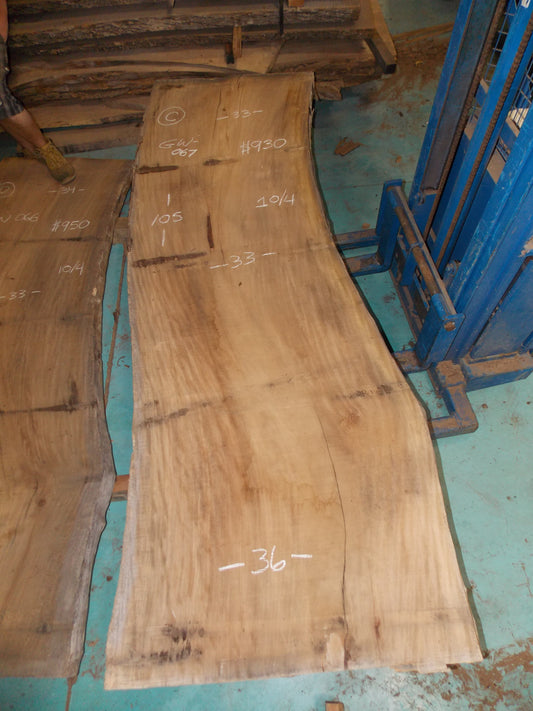 SYCAMORE SLAB GW-067