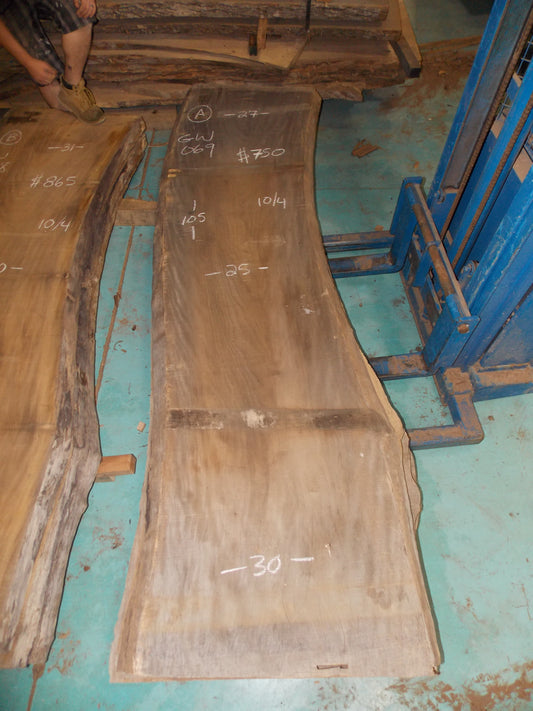 SYCAMORE SLAB GW-069