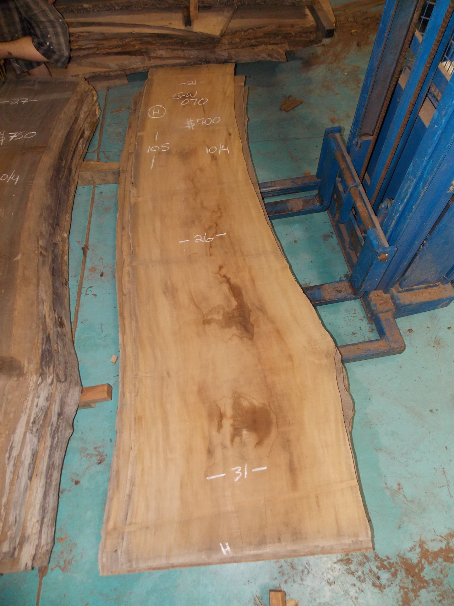 SYCAMORE SLAB GW-070