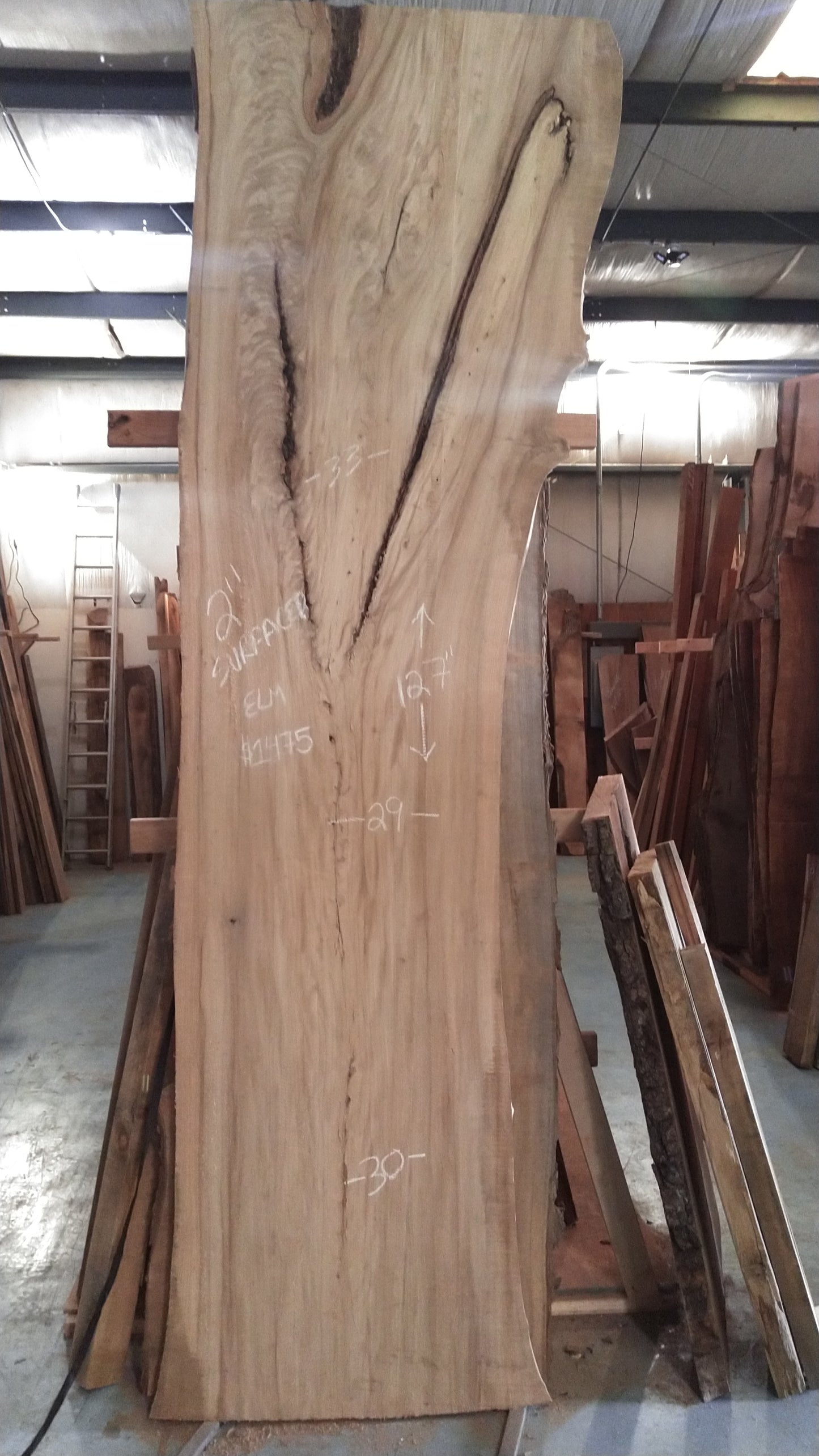 ELM SLAB GW-026